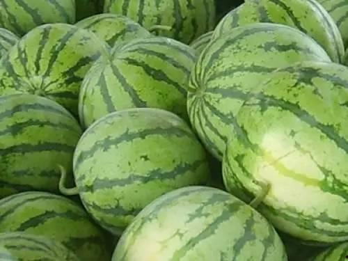 仓玄吃瓜图,揭秘娱乐圈幕后风云