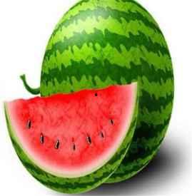 吃小白瓜会胖么,吃它真的会发胖吗？