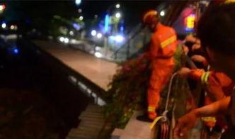 吃瓜少年吹吹吹,揭秘娱乐圈幕后风云