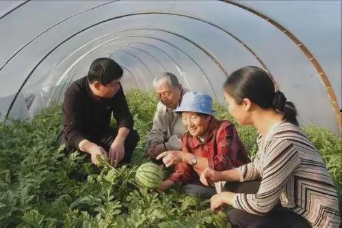 上海奶奶吃瓜,品味都市田园时光