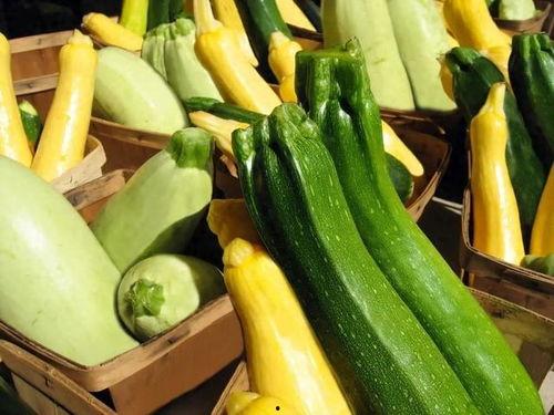 瓜与瓜之间能一起吃吗,哪些瓜可以一起享用？