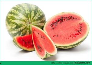 孕期吃烧瓜好吗,孕期适量食用烧瓜有益健康