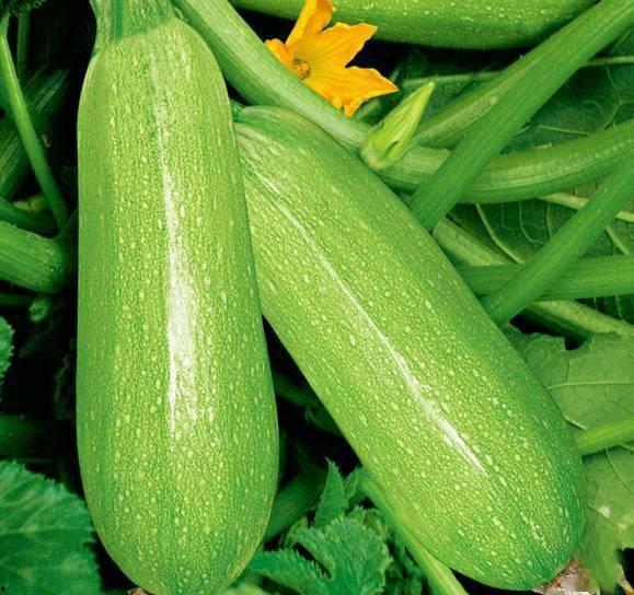 吃瓜视频整合包,盘点热门事件，揭秘幕后真相