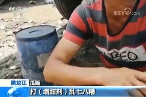 快穿嘎嘎吃瓜起点,嘎嘎吃瓜，解锁无尽精彩