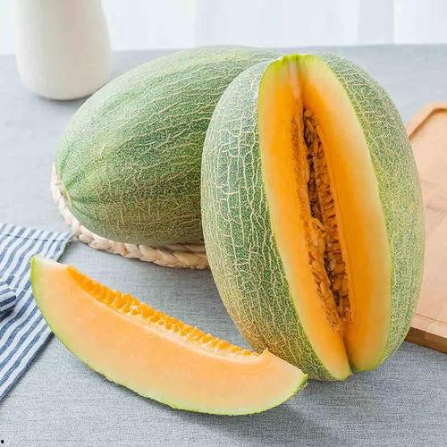 靓仔吃蜜瓜视频大全,靓仔们的甜蜜瞬间大盘点