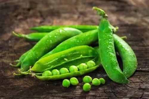 沐兮文化吃瓜,揭秘娱乐圈的“吃瓜”盛宴