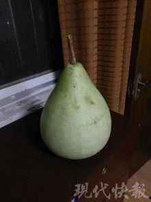 盐城房产吃瓜,吃瓜群众揭秘楼市真相