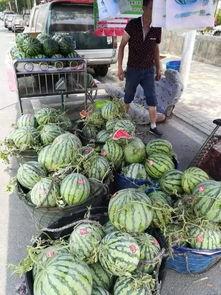 安溪吃瓜网红事件,网络舆论的风暴与反思