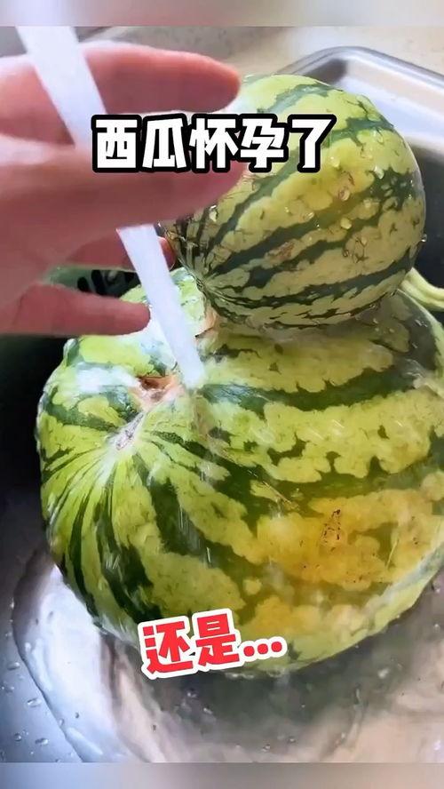 吃脆瓜搞笑视频
