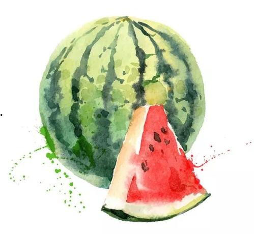 ds水彩棒吃瓜,ds水彩棒绘出夏日吃瓜乐趣