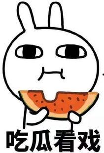 回国吃瓜,畅享国内吃瓜盛宴