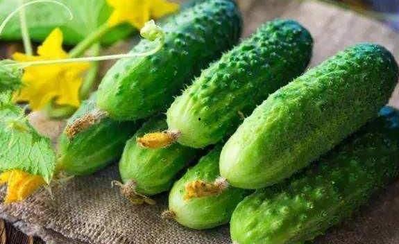 八月瓜能和什么菜一起吃,营养盛宴新体验