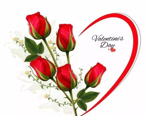 玫瑰爱心玫瑰吃瓜群众,吃瓜群众的甜蜜瓜田奇遇记