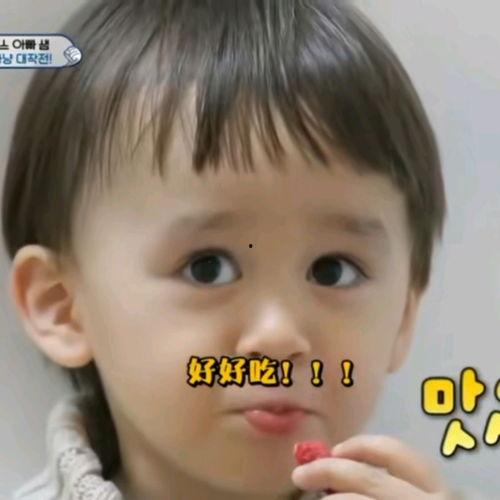 本特利吃瓜表情