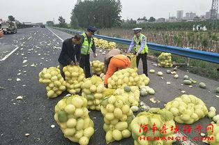 域瓜怎么吃,探索多种食用方法与创意料理