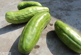 脆瓜可以吃吗,美味可口的健康之选，食用指南解析