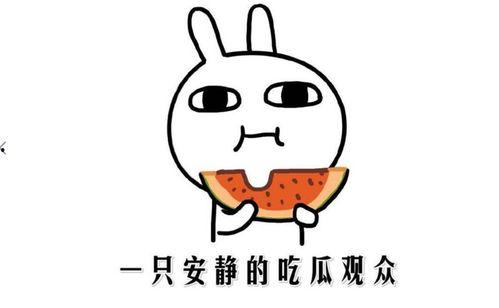 吃鸡吃瓜都啥意思,揭秘网络热词背后的趣味与内涵