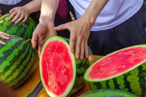 闽师大 吃瓜,揭秘“吃瓜”背后的故事与真相”