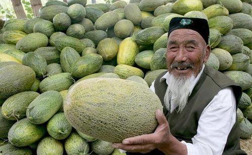 吃哈密瓜榴莲,探索哈密瓜与榴莲的独特风味融合