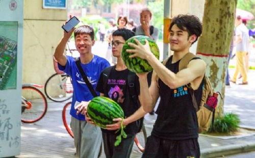 邯郸吃瓜学院,揭秘校园里的“瓜田”趣事