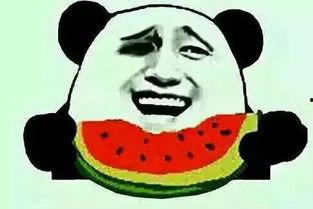 吃瓜表白