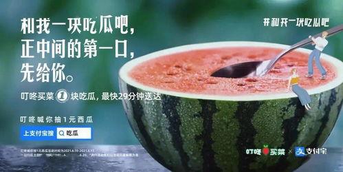 日不落酒吧吃瓜,吃瓜群众的欢乐聚集地